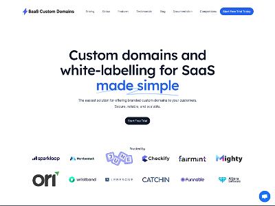 SaaS Custom Domains
